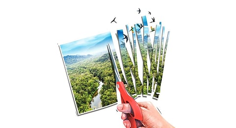 Image used for illustrative purposes only. (Express illustrations)