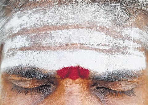 Picture credits: P Ravikumar