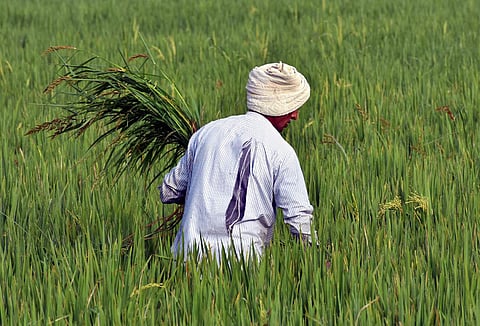 Image used for representational purpose only. (File | EPS/Madhav K)