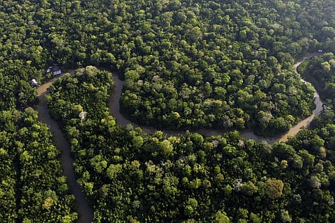 Eight Amazon rainforest countries open summit in Belem, Brazil