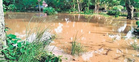 Singhagaon gram panchayat submerged in floodwater | Express