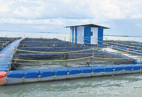 Image used for representational purposes only.