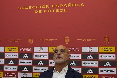 Spain's national football coach Luis de la Fuente (Photo | AP)