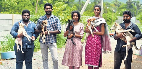 Dog shelter present at Jakkampudi near Vijayawada. (photo | Prasant Madugula, EPS)