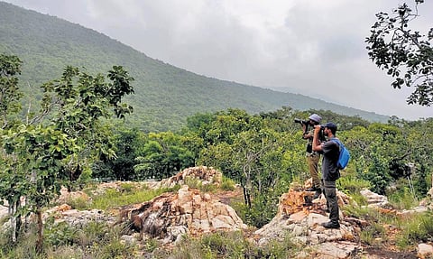 Volunteers surveying the birds during the course of the project in Tirupati | express