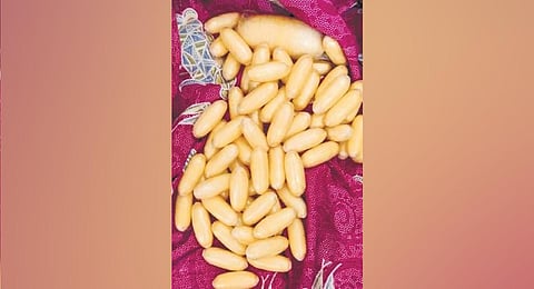The cocaine was concealed in capsules. (Photo | Special arrangement)