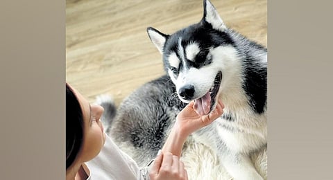 Image used for representational purpose.