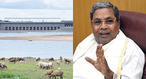 Image used for representational purposes only. (Photo | EPS)