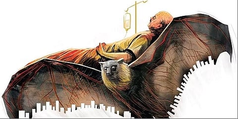 Karnataka to review Nipah virus risk in border districts