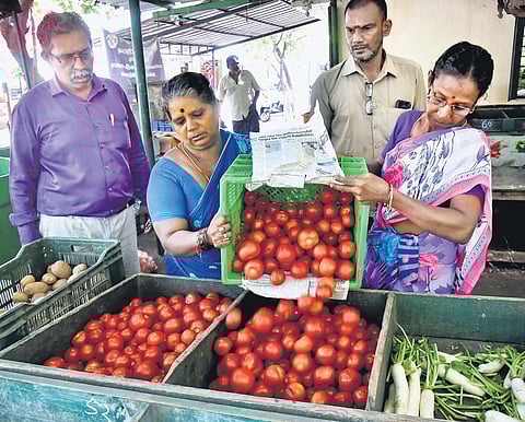 Koyambedu wholesale market in Chennai, Tamil Nadu(Photo | P Jawahar, EPS)