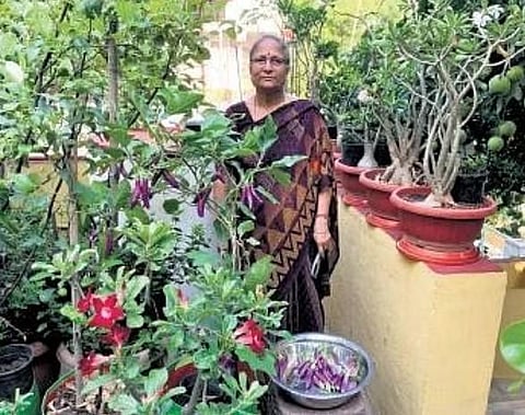 With a deep-rooted passion for plants, using organic methods she created a mini forest which contains different types of fruits, vegetables, and flowers.