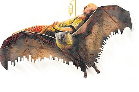 Image used for representational purpose.