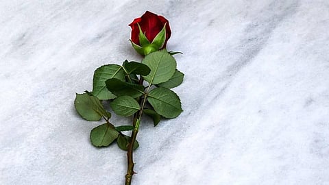 (Photo | Andrej Isakovic/AFP)