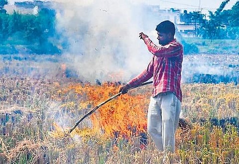 Delhi creates Winter Action Plan to curb dust & pollution, stubble burning