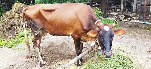 Image used for representational purpose.