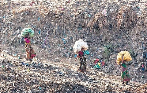 Two agencies will be working at each landfill, each will be processing 30 LT (approx) of garbage in a year. | File Photo