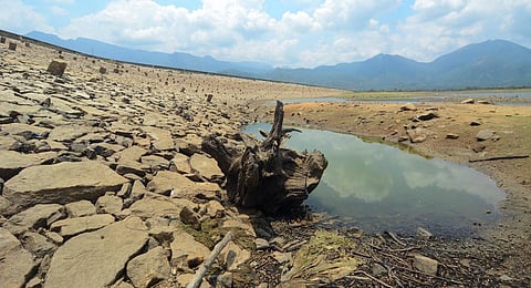 Reservoir levels dip as drought looms large in Maharashtra's Marathwada region