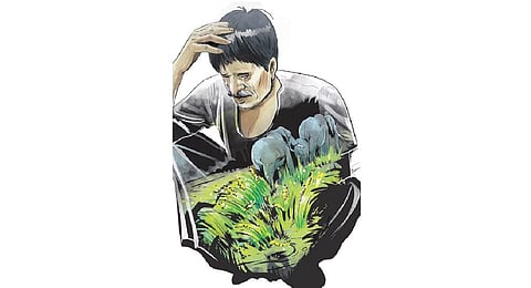 As many as 16 tribal people have died in elephant attacks in Aralam farm since 2014.