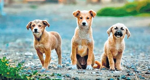 For representational purposes