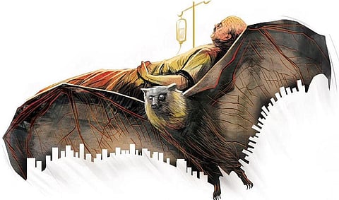 Image used for representational purpose.