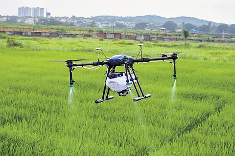 Seed digital agriculture now, reap a harvest of high growth