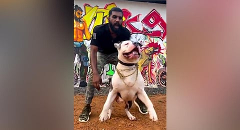 Robin George, suspected drug dealer, training one of his dogs | Instagram