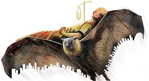 For representational purposes