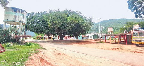 Vachathi hamlet; (right) a report on the brutality in the tribal hamlet that appeared in TNIE dated July 19, 1992  | express