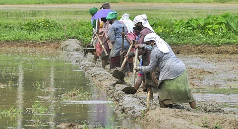 Image used for representational purposes only. (File Photo | BP Deepu, EPS)