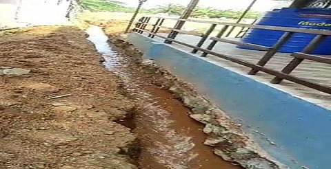 Farmers in Udumalaipet have appealed to the district administration to take action against real estate promoters who block or destroy branch channels of the PAP canal.