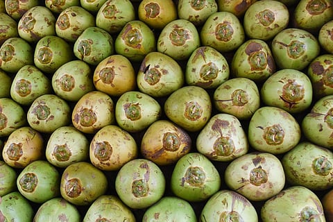 Call centre for coconut harvesting
