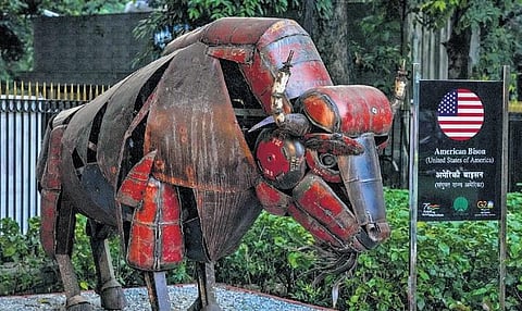 Image used for representational purposes only.