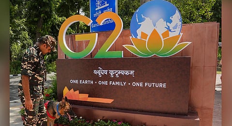 Image used for representational purposes (Photo | PTI)