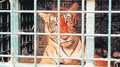 Representational image