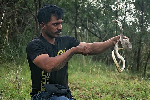 V Selvam, aged 36, popularly known as ‘Cuddalore Chella,’ emerged as an unsung hero, safeguarding snakes in the region. (Photo | Sriram R)