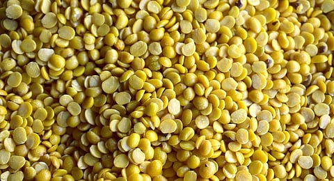 Image used for representational purposes only. (Photo | EPS)