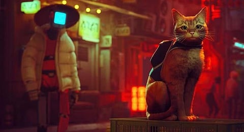 Film adaptation of video game Stray  begins development