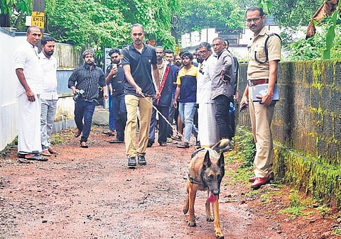 Police sniffer dog Marley of the Aluva K9 squad, inspects the house of the girl who was sexually abused early on Thursday | Express