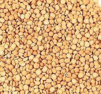 Illustration used for representational purpose only. (Express Illustrations)