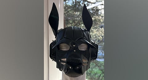 ‘It was Bound to Happen’, makes creative use of leather and metal. (Photo | Express)