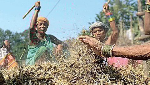 Image used for representation.