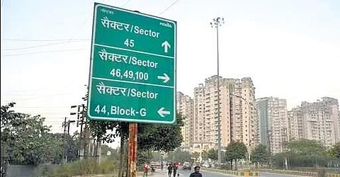 Noida Sec 44: Sewer snarls, strays and parking mess