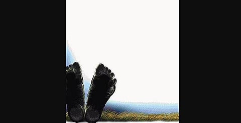 Image used for representational purpose only. (Express Illustration)