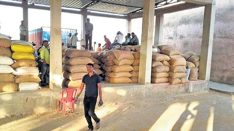 File photo of a paddy procurement centre in Sundargarh district. (Photo | Express)