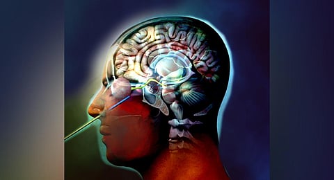 Minimally invasive brain surgery: High precision, quick recovery