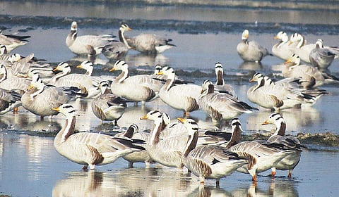 Image used for representational purpose only. (File Photo)