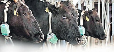 Image used for representational purposes only.