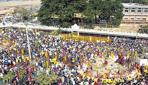 Efforts on to reduce plastic use during Medaram Jatara