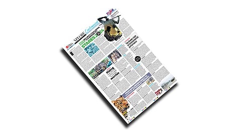 Check out this week's Xplore on Environment