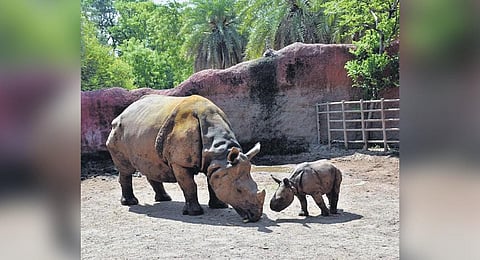 Image used for representational purposes (File Photo)